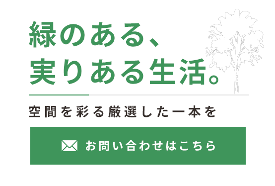 丁寧な梱包で全国へ届ける緑