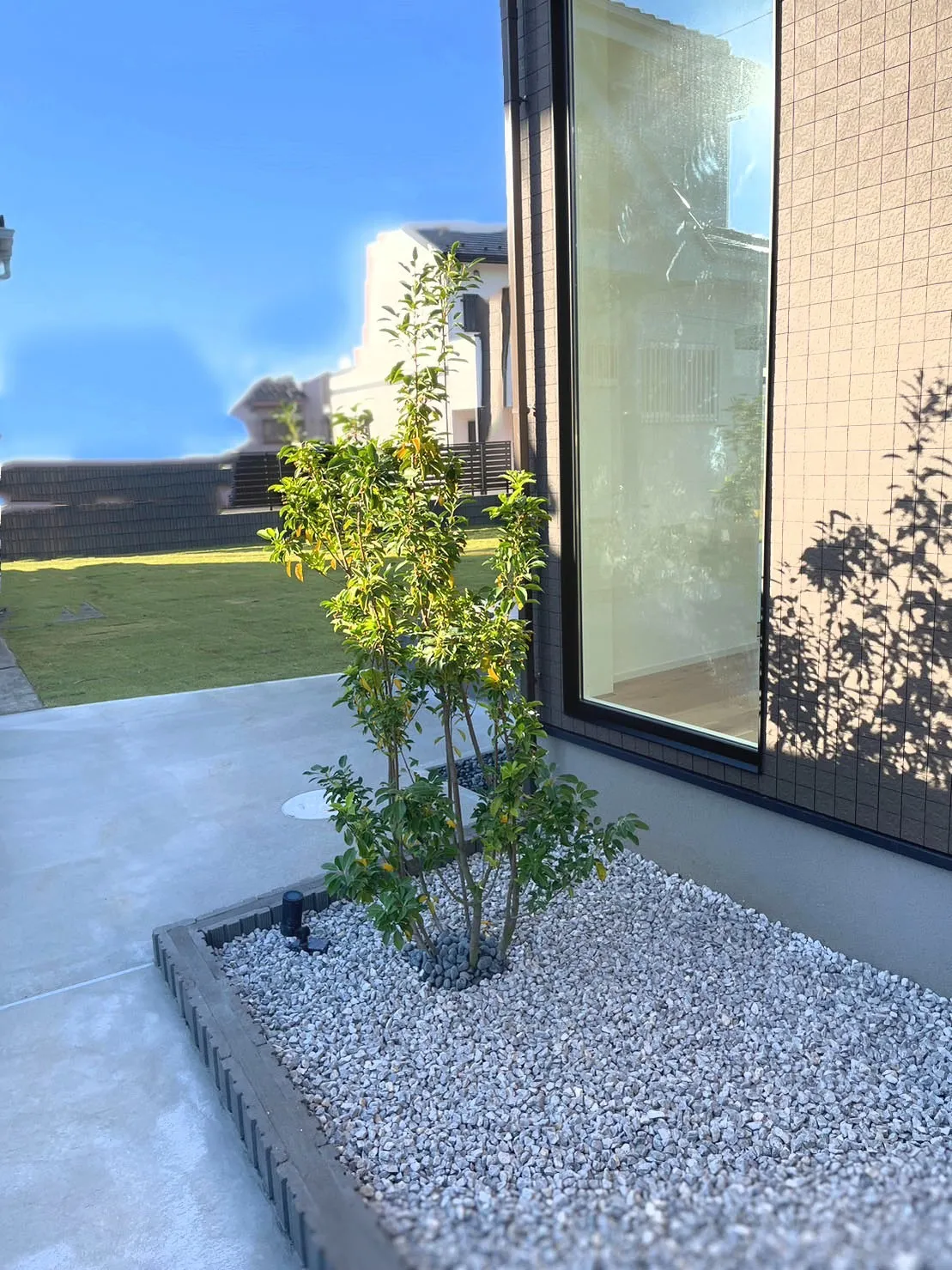 【ソヨゴ株立をご購入/S様】