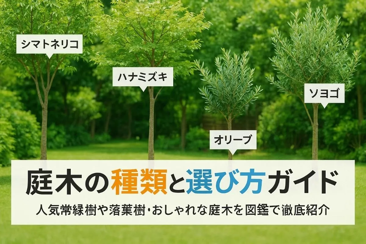 庭木の種類と選び方ガイド｜人気常緑樹や落葉樹・おしゃれな庭木を図鑑で徹底紹介
