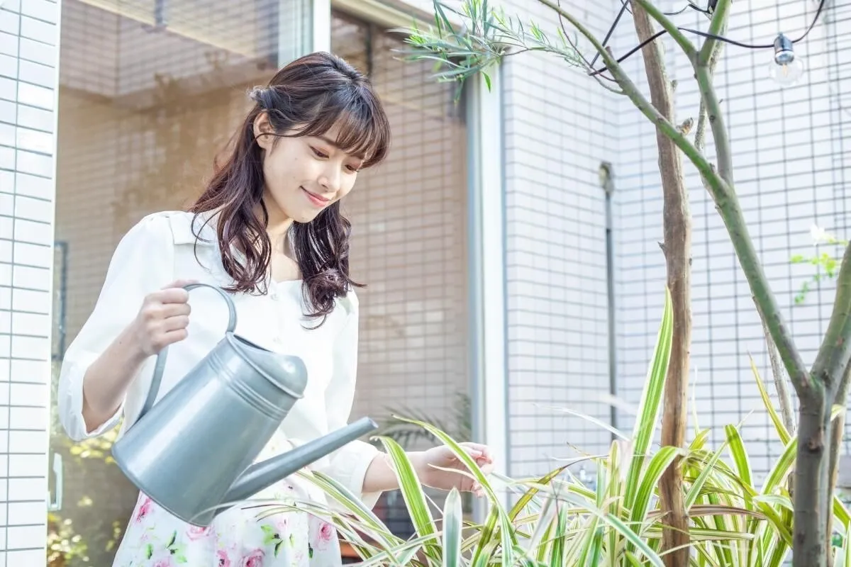 育てやすい庭木を探している初心者必見！おしゃれで手入れ簡単な低木について解説