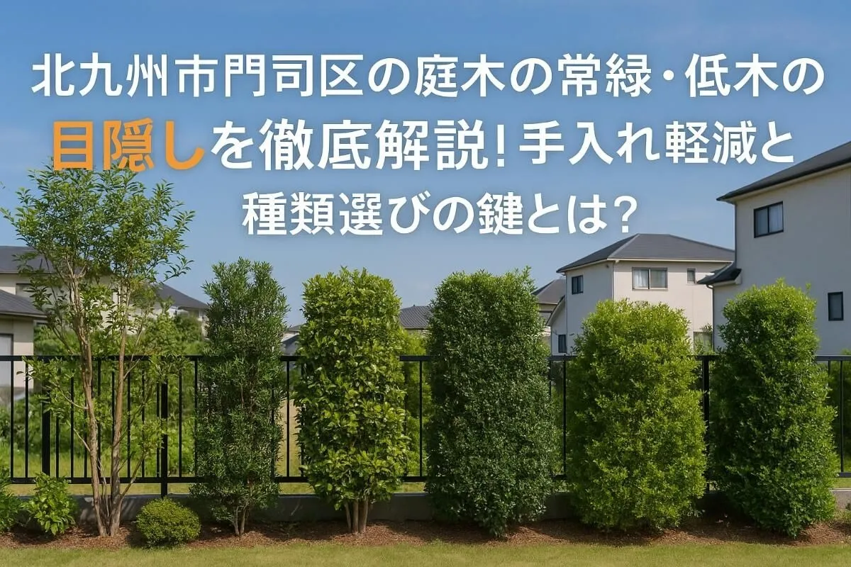 北九州市門司区の庭木の常緑・低木の目隠しを徹底解説！手入れ軽減と種類選びの鍵とは？