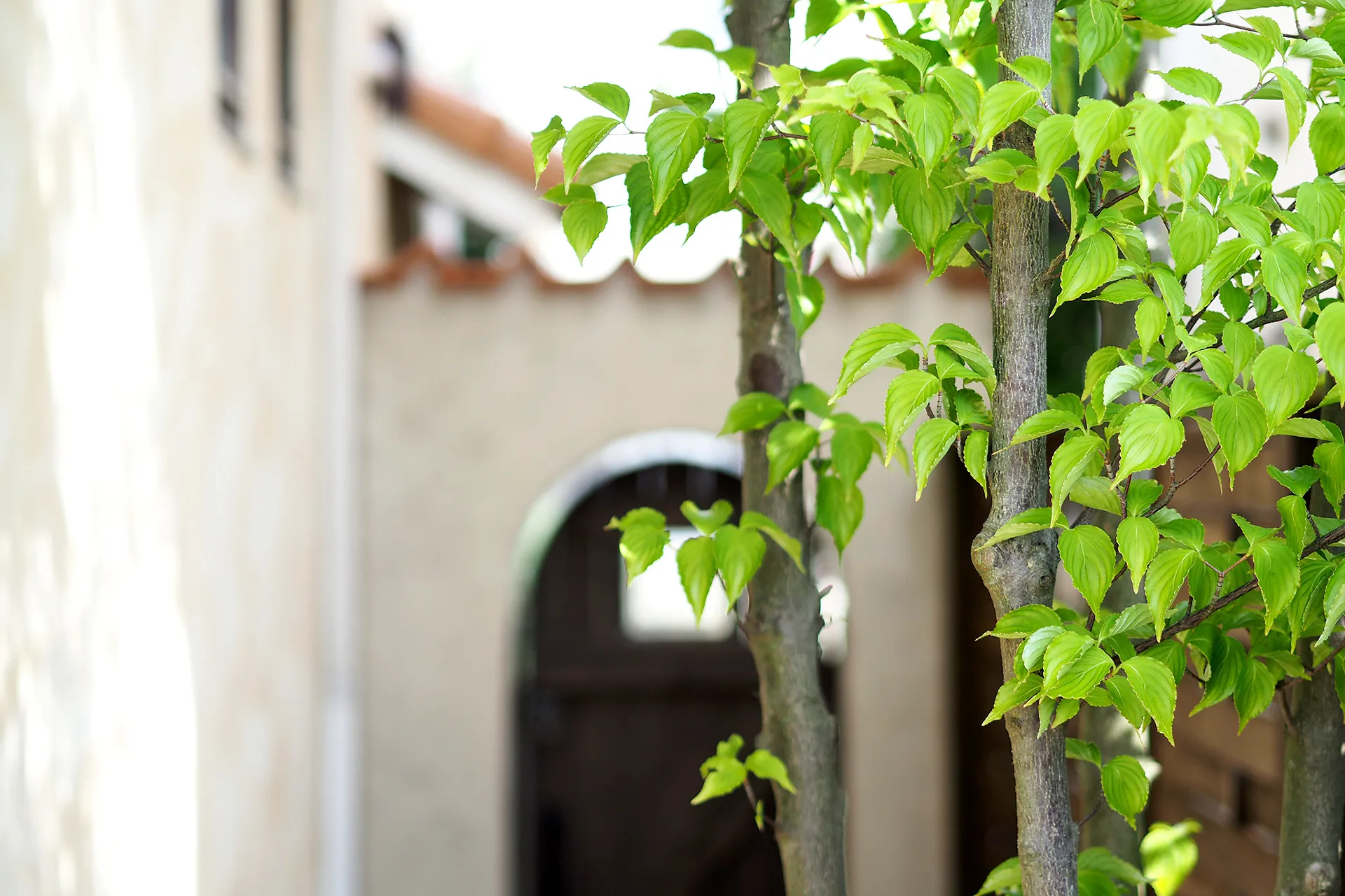 有限会社福岡緑化情報センター